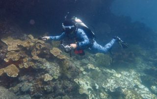 Darin OBrien Realtor scuba diving 8