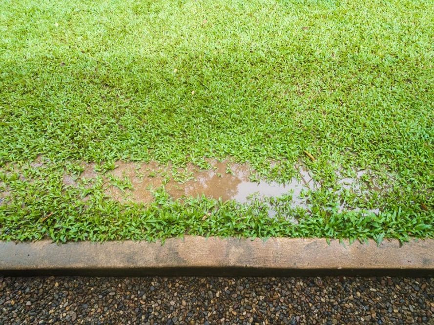 Allowing Water to Collect Near the Home