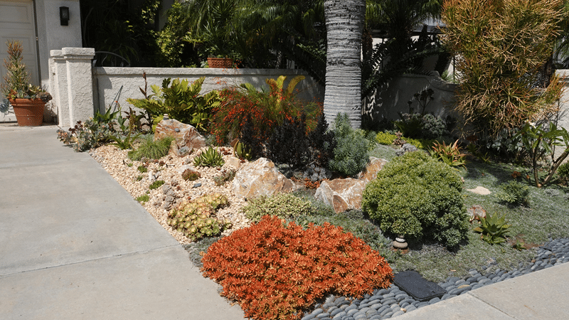 Water-wise front yard replacing traditional grass at a Pleasanton California home using a lawn conversion rebate