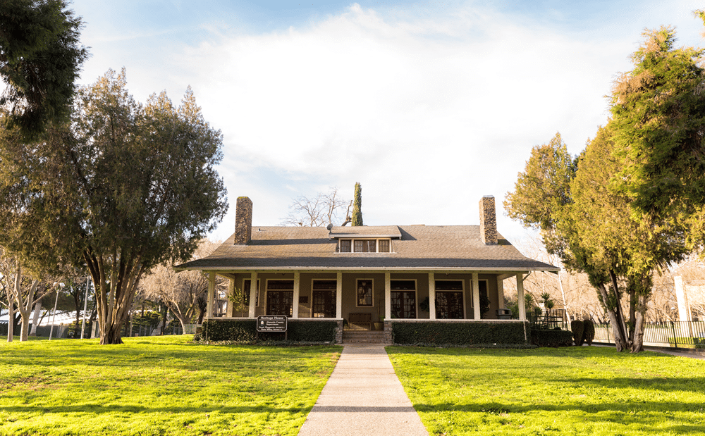 Mature tree beside a Pleasanton California home with established landscaping and space planned for future home improvements
