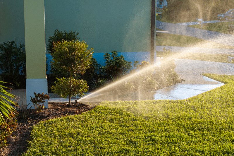 Water Wise Yard